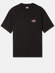 Dickies Icon Washed Tee